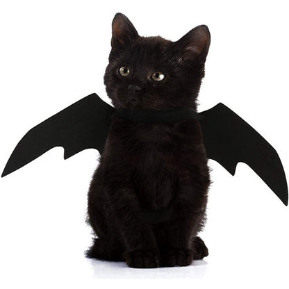 Bat Wings Pet Costume