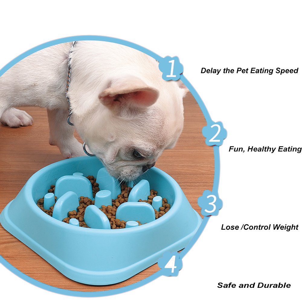 Anti-Choke Plastic Dog Bowl Feeder