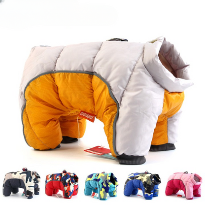 Winter Coat for Dogs