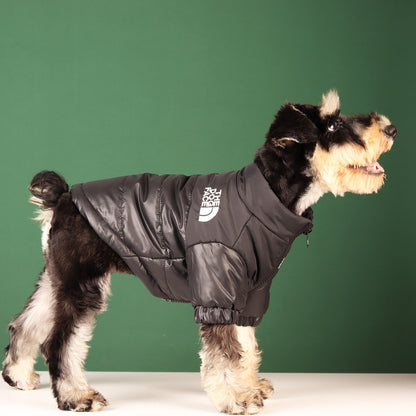 Dog Face Jacket