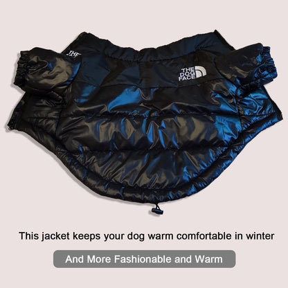 Dog Face Jacket