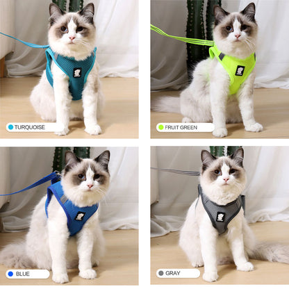 Cat Traction Harness Leash