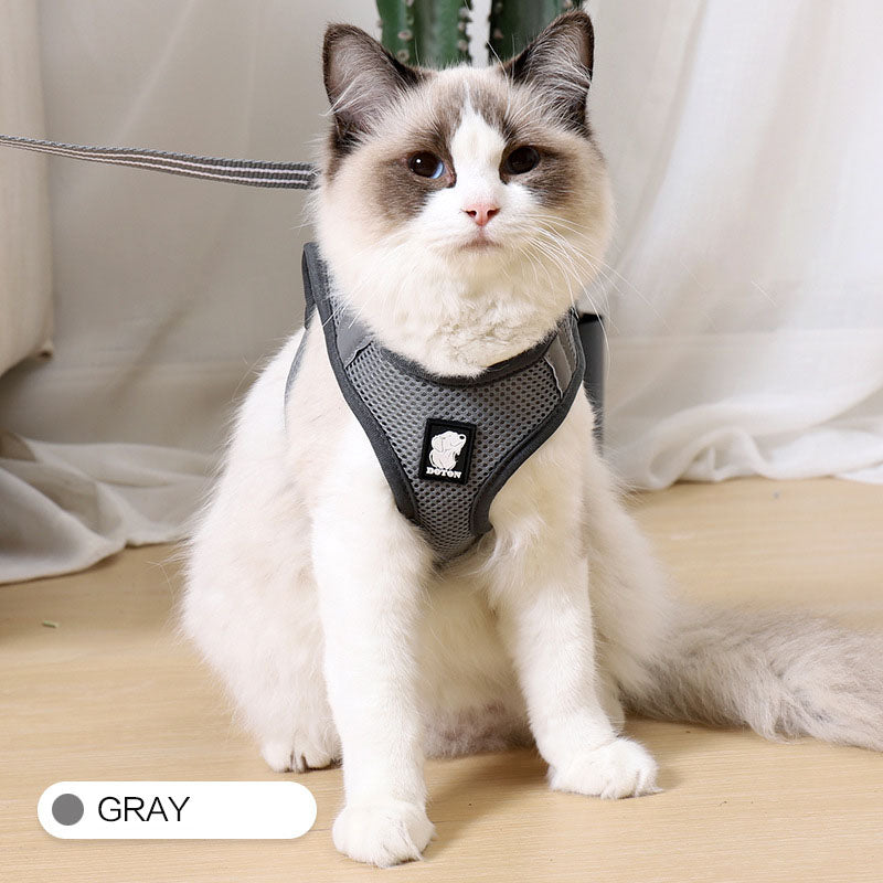 Cat Traction Harness Leash