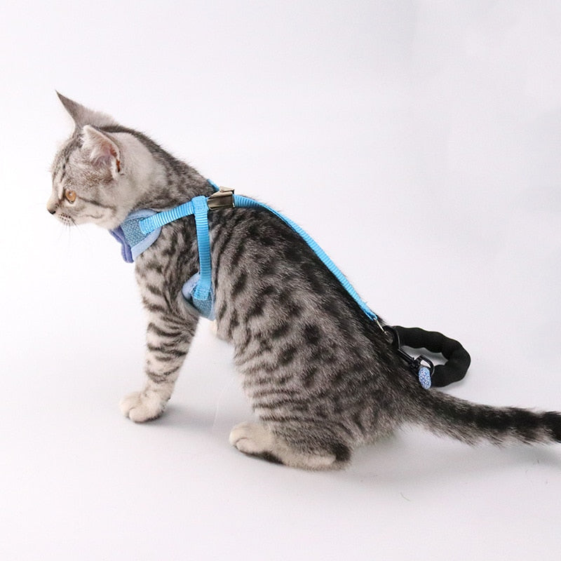 Cotton Pet Cat Chest And Back Leash