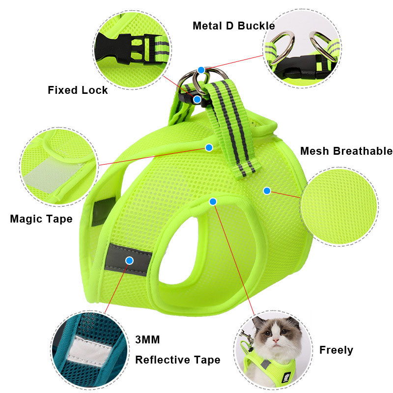 Cat Traction Harness Leash