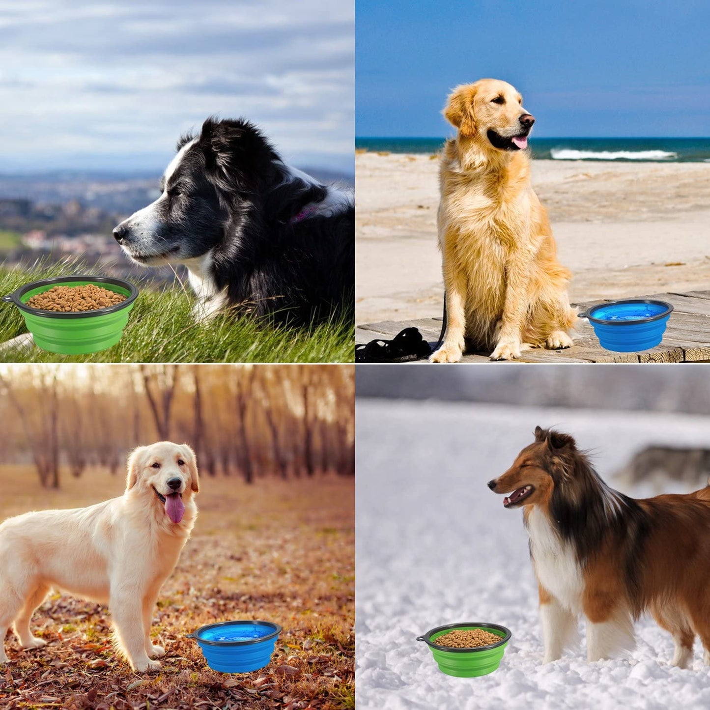 350 & 1000ML Silicone Dog Bowls