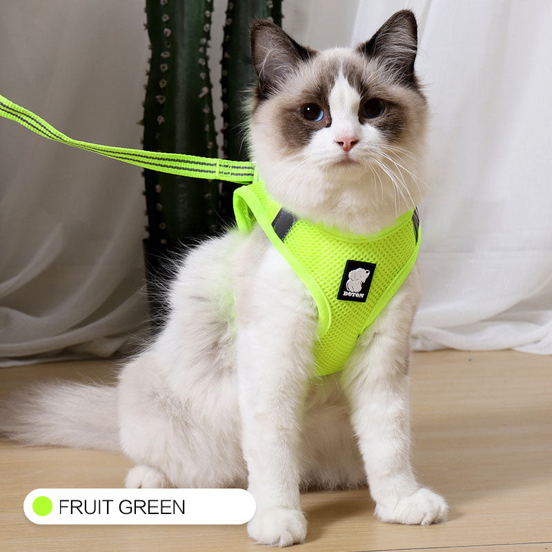 Cat Traction Harness Leash