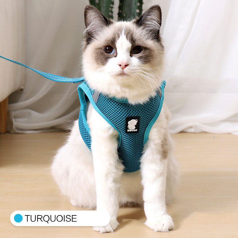 Cat Traction Harness Leash