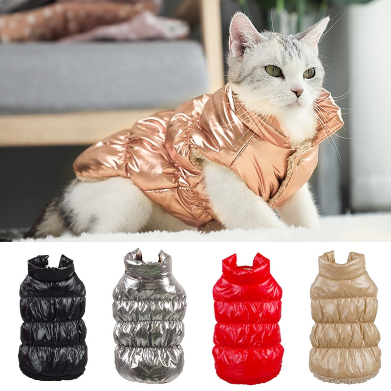 Waterproof Pet Cat Jacket