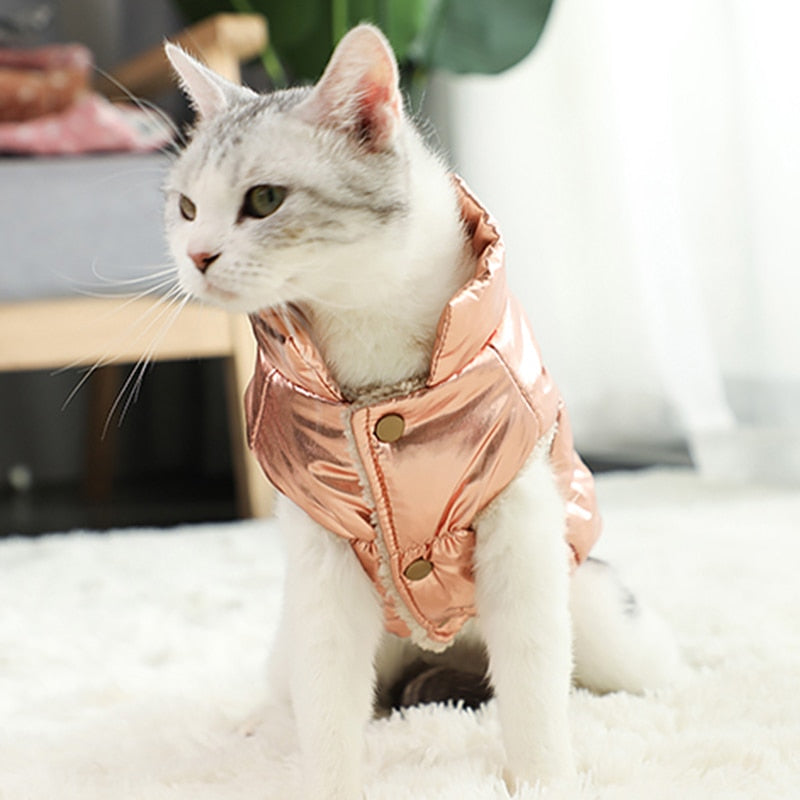 Waterproof Pet Cat Jacket