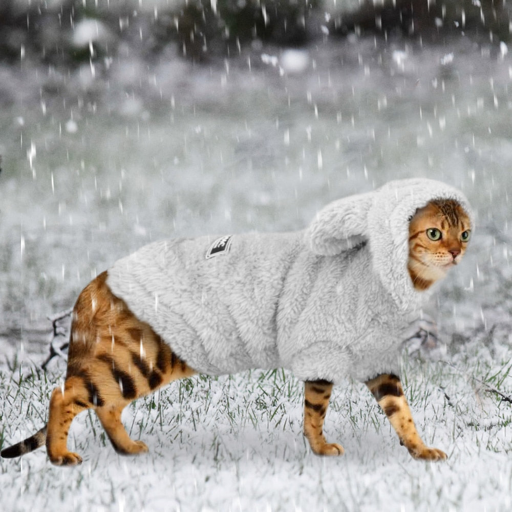 Warm Winter Cat Clothes