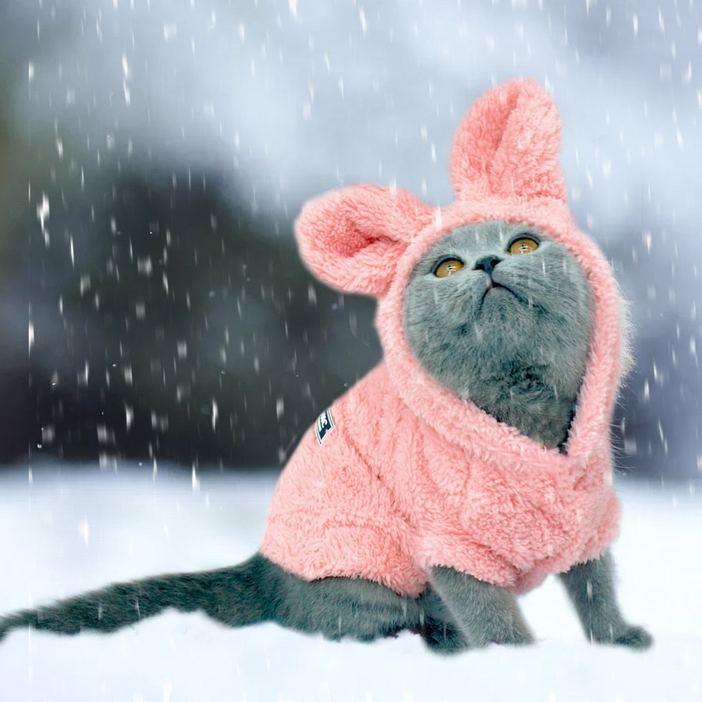 Warm Winter Cat Clothes