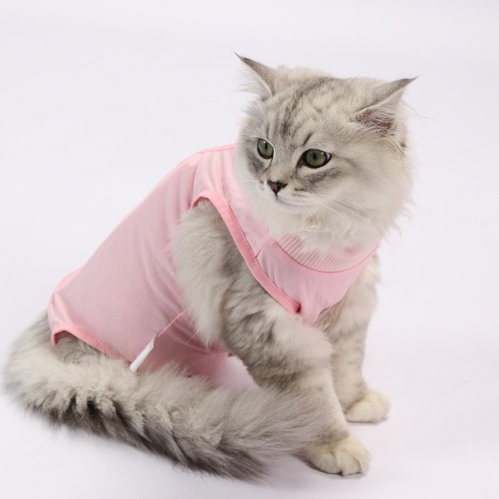 Cotton Kitten Cat Recovery Protection Vest