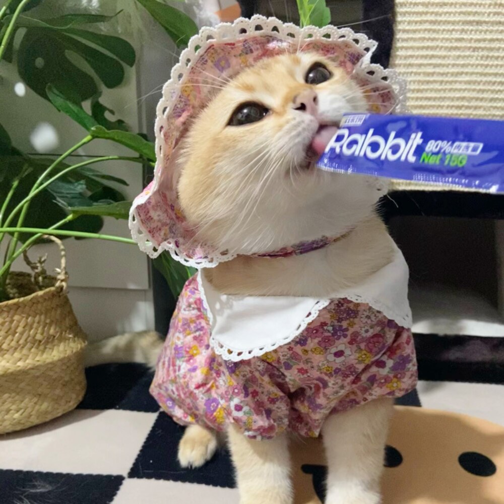 Royal Princess Pet Cat Dress