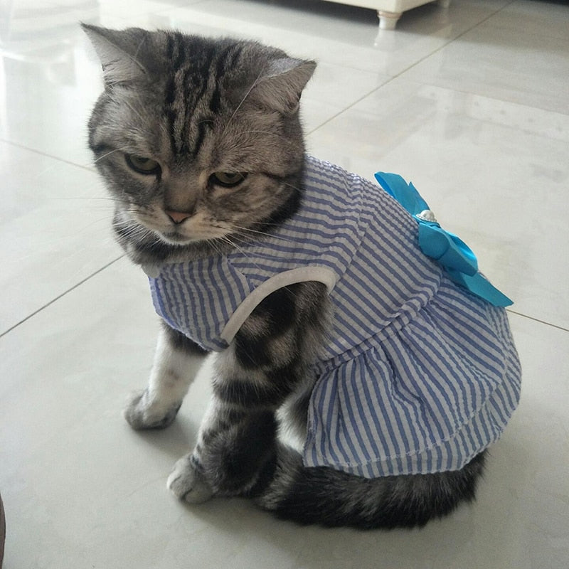 Pet Cat Summer Princess Dress