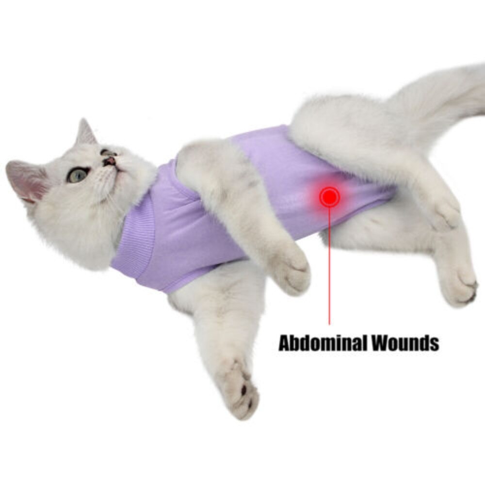 Cotton Kitten Cat Recovery Protection Vest