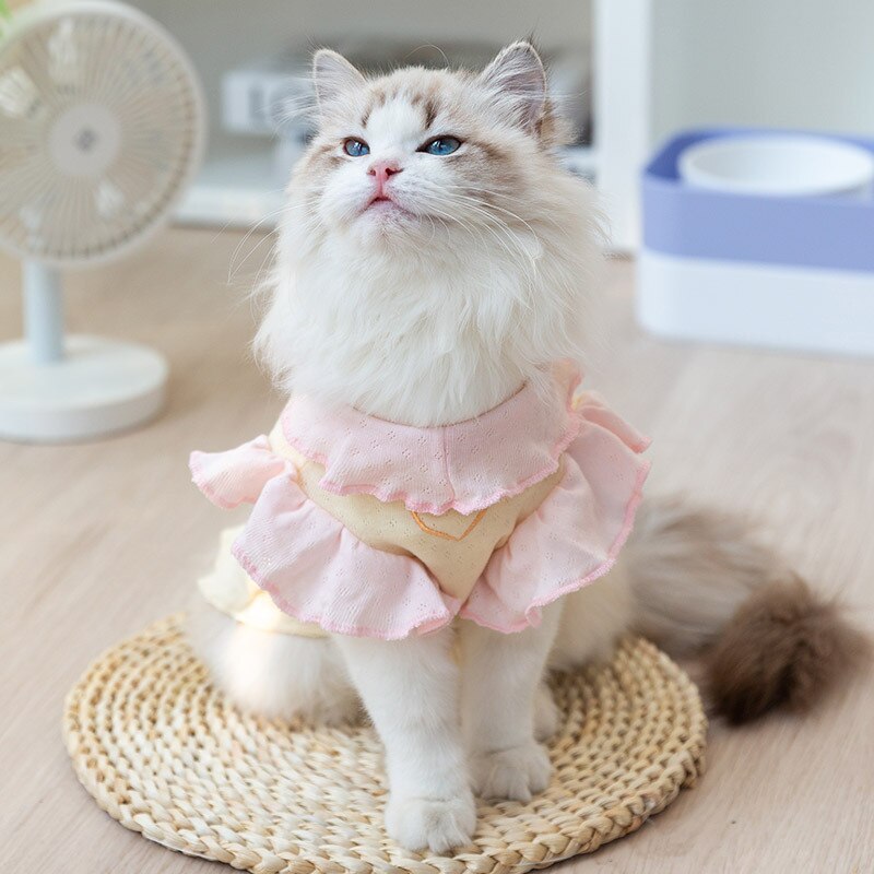 Breathable Spring Summer Cat Clothes