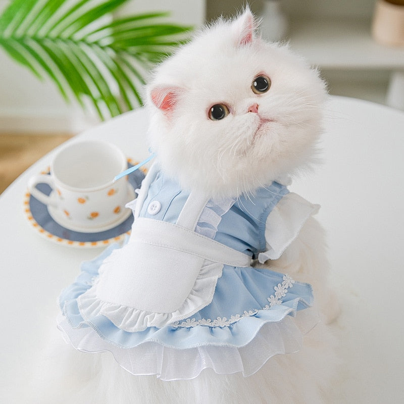 Fashionable Cat Lace Maid Dress