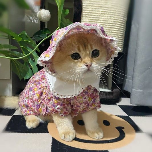 Royal Princess Pet Cat Dress