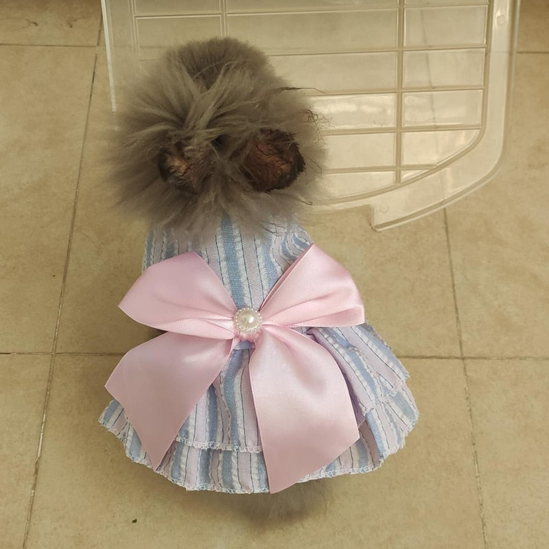 Pet Cat Summer Princess Dress