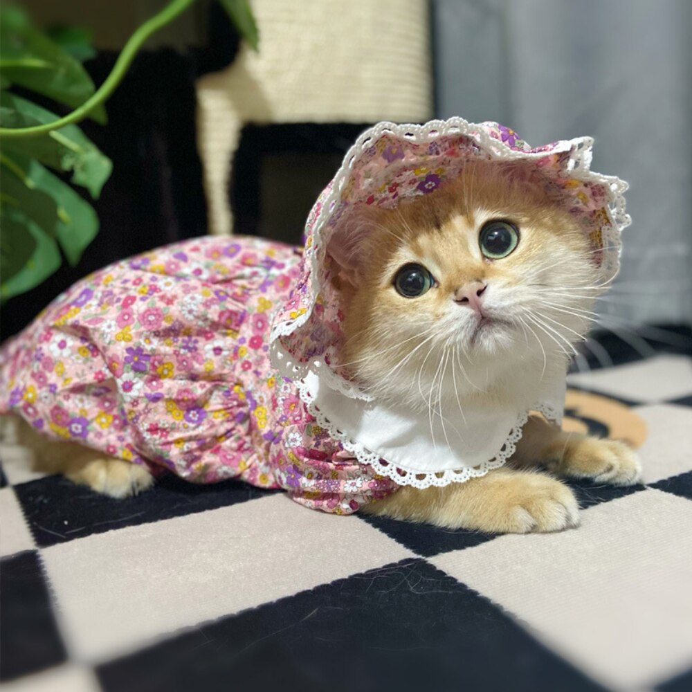 Royal Princess Pet Cat Dress