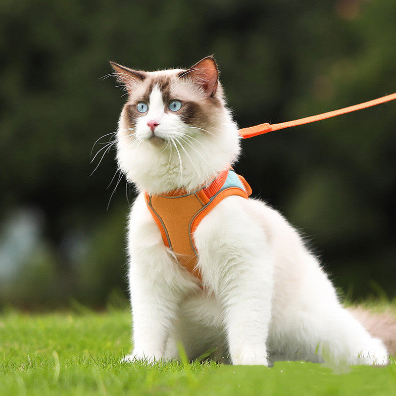 Soft Suede Anti Escape Reflective Cat Harness Leash